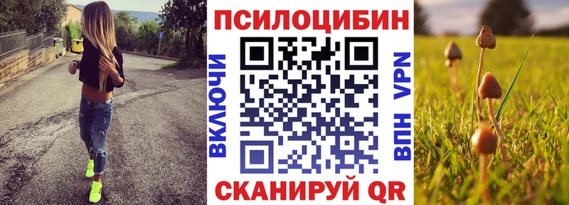 Галлюциногенные грибы мухоморы  OMG зеркало  Бирюсинск  наркошоп 